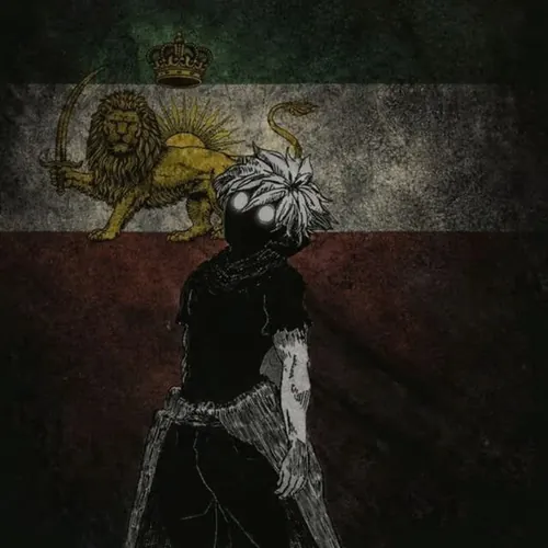 امیرحسین افضل پور